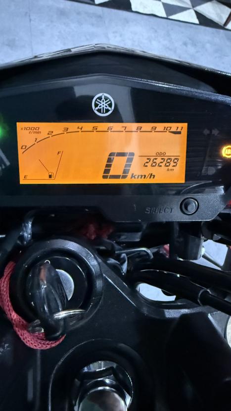 YAMAHA FZ 25 250 Fazer Flex , Foto 3