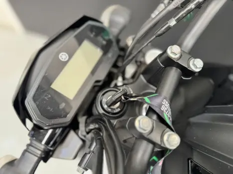 YAMAHA FZ 25 250 Fazer Flex , Foto 3