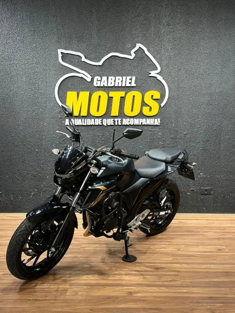 YAMAHA FZ 25 250 Fazer Flex , Foto 4