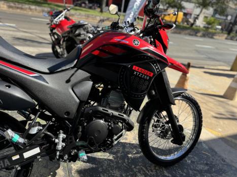 YAMAHA Lander 250 X, Foto 4
