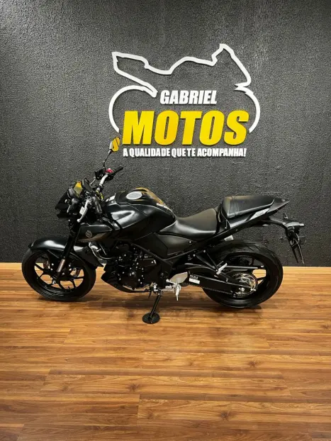 YAMAHA MT-03 300 ABS, Foto 2