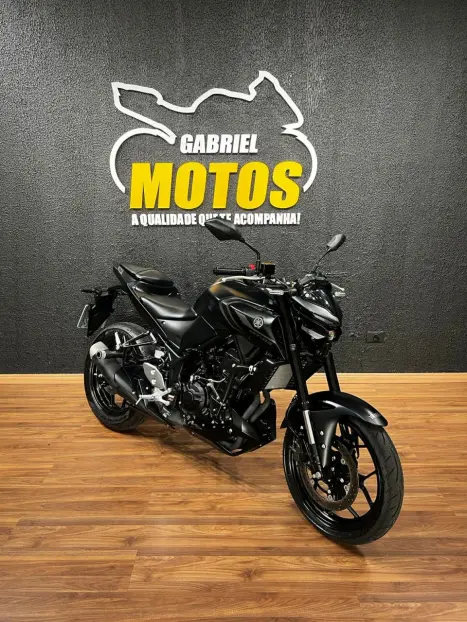 YAMAHA MT-03 300 ABS, Foto 3