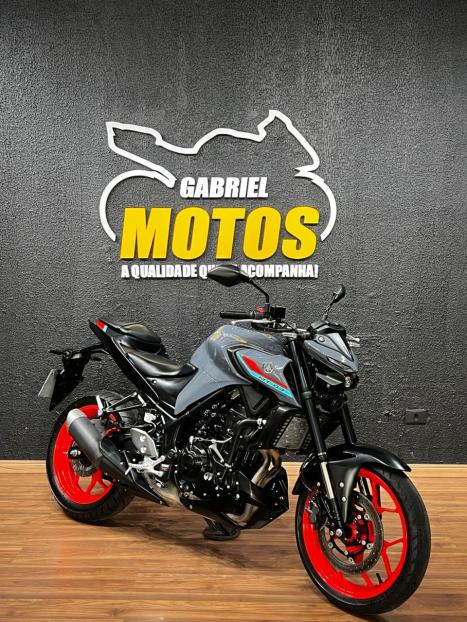 YAMAHA MT-03 300 ABS, Foto 3