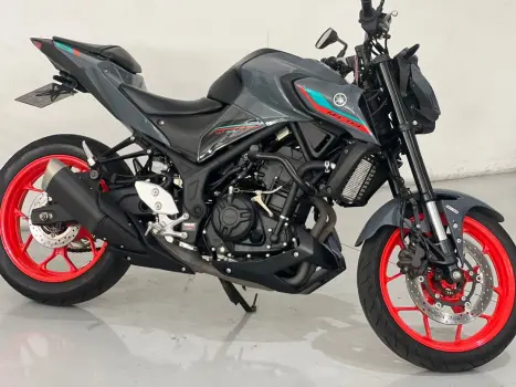 YAMAHA MT-03 300 ABS, Foto 6