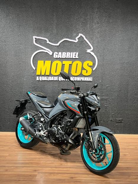 YAMAHA MT-03 300 ABS, Foto 3