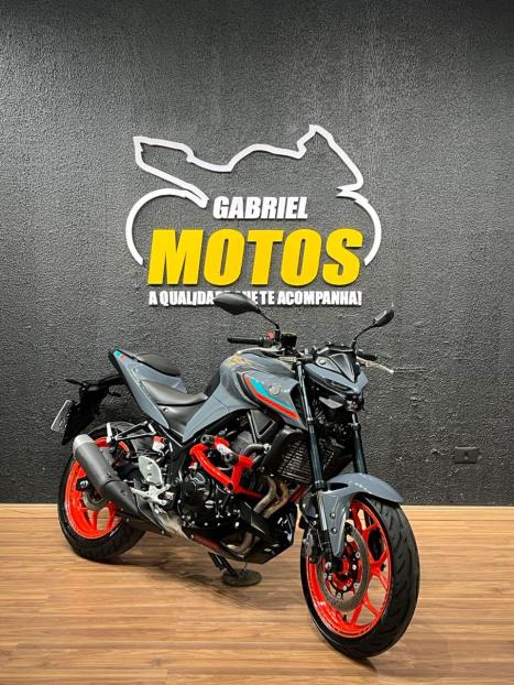 YAMAHA MT-03 300 ABS, Foto 3