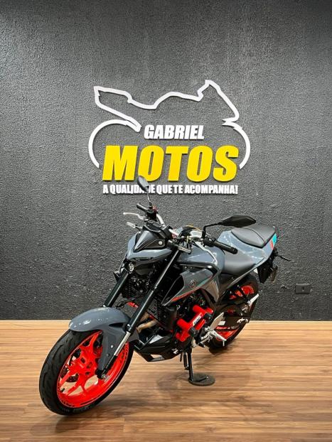 YAMAHA MT-03 300 ABS, Foto 5