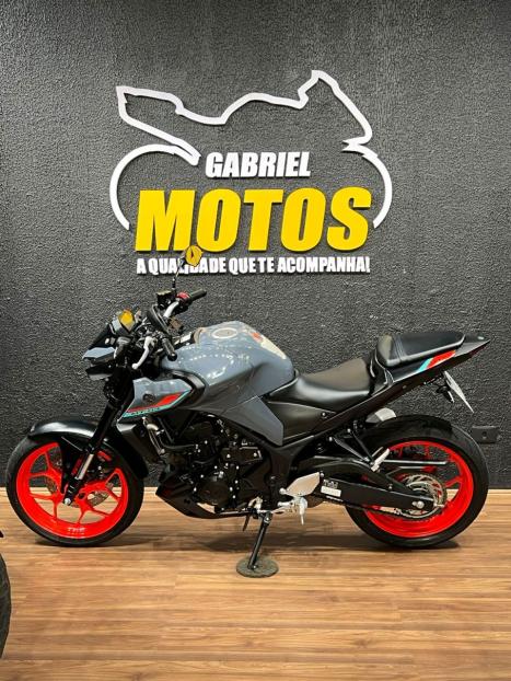 YAMAHA MT-03 300 ABS, Foto 2