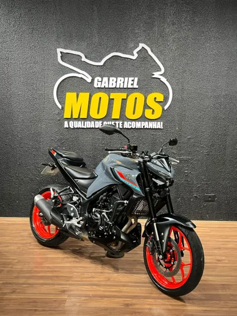 YAMAHA MT-03 300 ABS, Foto 3