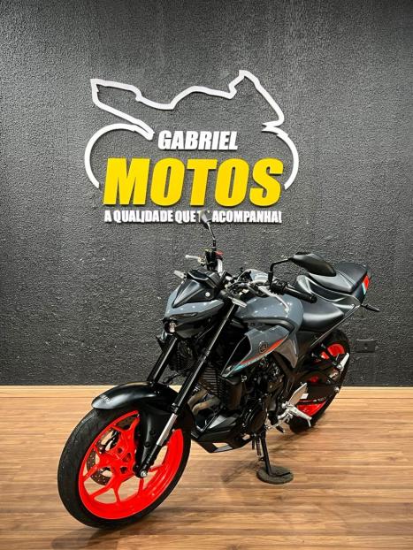 YAMAHA MT-03 300 ABS, Foto 4