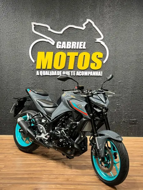 YAMAHA MT-03 300 ABS, Foto 3