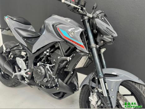 YAMAHA MT-03 300 ABS, Foto 6
