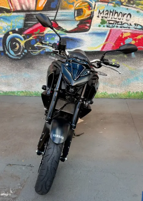 YAMAHA MT-03 300 ABS, Foto 4