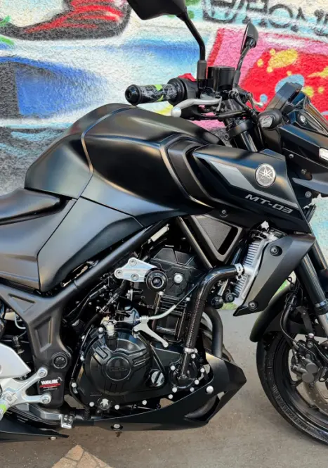 YAMAHA MT-03 300 ABS, Foto 10
