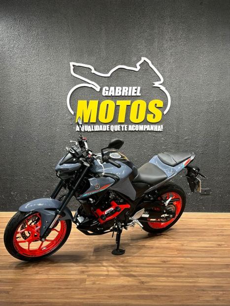 YAMAHA MT-03 300 ABS, Foto 4