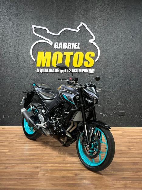 YAMAHA MT-03 300 ABS, Foto 3