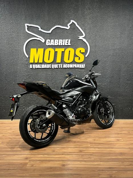 YAMAHA MT-03 300 ABS, Foto 6