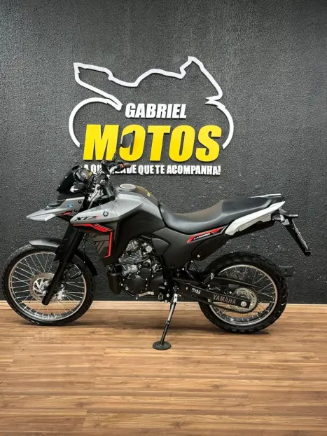 YAMAHA XTZ 250 LANDER, Foto 2