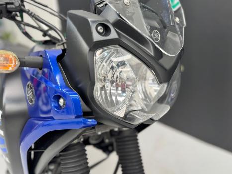 YAMAHA XTZ 250 TENER, Foto 7
