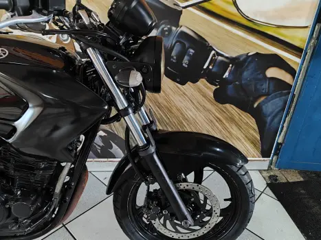 YAMAHA YS Fazer 250 LIMITED EDITION, Foto 15