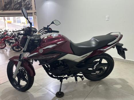 YAMAHA YS Fazer 250 BLUE FLEX, Foto 4