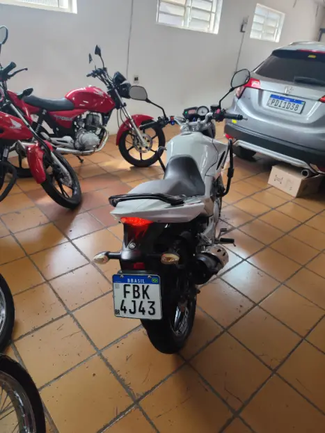 YAMAHA YS Fazer 250 LIMITED EDITION, Foto 6