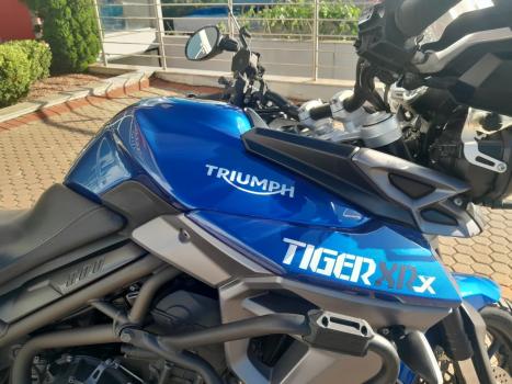 TRIUMPH Tiger 800 XRX, Foto 7