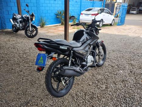 YAMAHA YBR 125 FACTOR ED, Foto 6