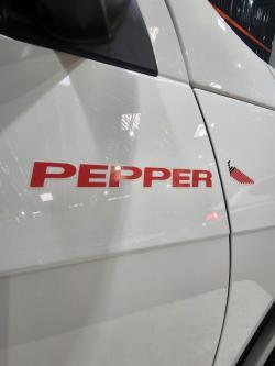 VOLKSWAGEN Saveiro 1.6 G7 CABINE ESTENDIDA PEPPER FLEX