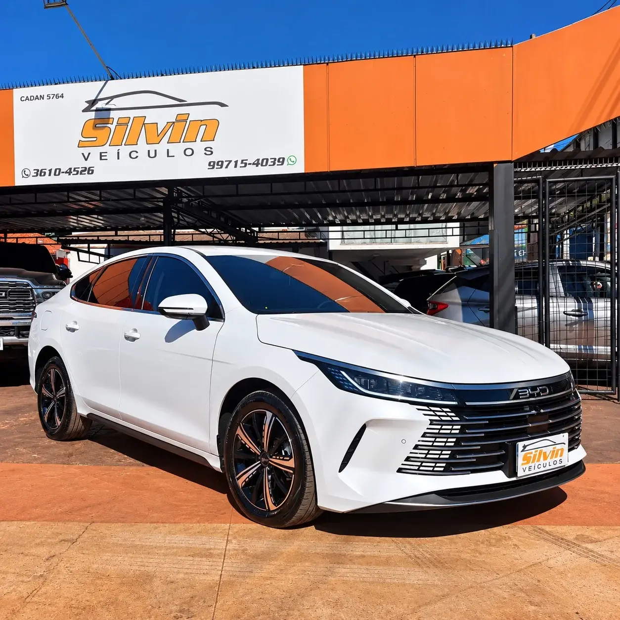 BYD King