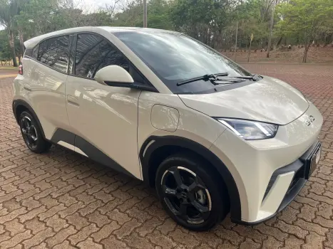 BYD Dolphin Mini 38 KW ELTRICO, Foto 2
