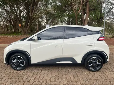 BYD Dolphin Mini 38 KW ELTRICO, Foto 4