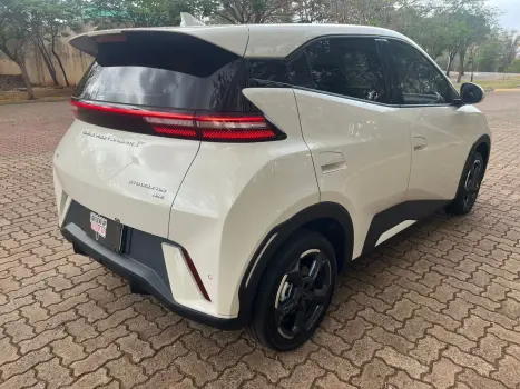 BYD Dolphin Mini 38 KW ELTRICO, Foto 7