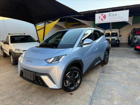 BYD Dolphin Mini 38 KW EL�TRICO GS, Foto 2