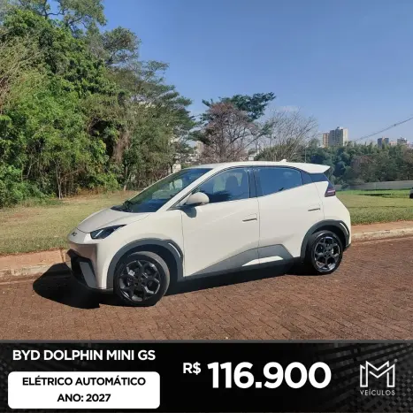 BYD Dolphin Mini 38 KW EL�TRICO GS, Foto 1