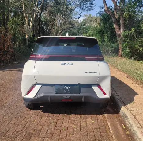 BYD Dolphin Mini 38 KW EL�TRICO GS, Foto 5