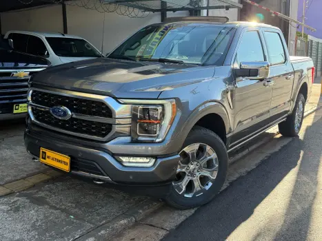 FORD F-150 5.0 V8 24V FX4 PLATINUM CABINE DUPLA AUTOM�TICO, Foto 1