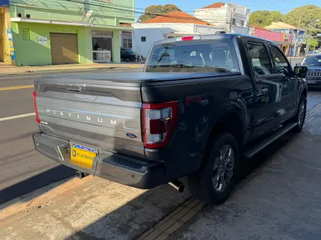 FORD F-150 5.0 V8 24V FX4 PLATINUM CABINE DUPLA AUTOM�TICO, Foto 3