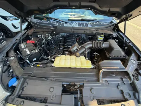 FORD F-150 5.0 V8 24V FX4 PLATINUM CABINE DUPLA AUTOM�TICO, Foto 8