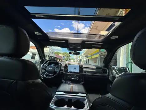 FORD F-150 5.0 V8 24V FX4 PLATINUM CABINE DUPLA AUTOM�TICO, Foto 7