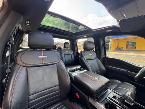 FORD F-150 5.0 V8 24V FX4 PLATINUM CABINE DUPLA AUTOM�TICO, Foto 10