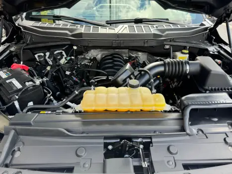 FORD F-150 5.0 V8 24V FX4 PLATINUM CABINE DUPLA AUTOM�TICO, Foto 11