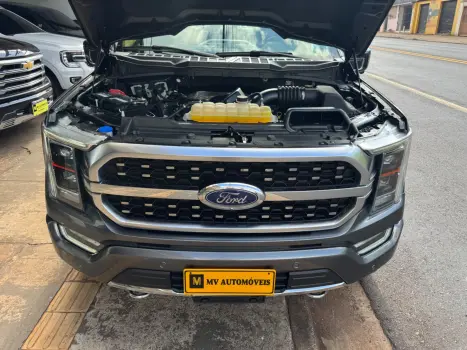 FORD F-150 5.0 V8 24V FX4 PLATINUM CABINE DUPLA AUTOM�TICO, Foto 12