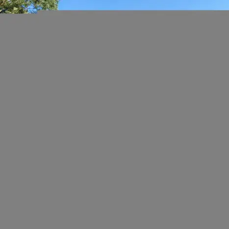 JEEP Renegade 1.8 16V 4P FLEX SPORT, Foto 11