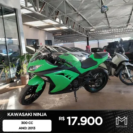 KAWASAKI Ninja 300 , Foto 1