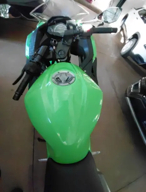 KAWASAKI Ninja 300 , Foto 5