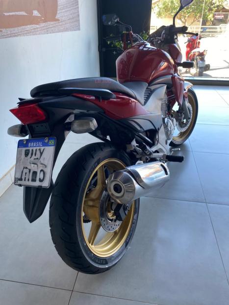 HONDA CB 300 R FLEX, Foto 5