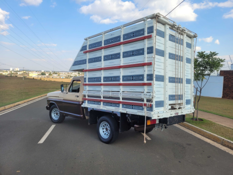 FORD F-1000 3.9 CABINE SIMPLES DIESEL, Foto 2