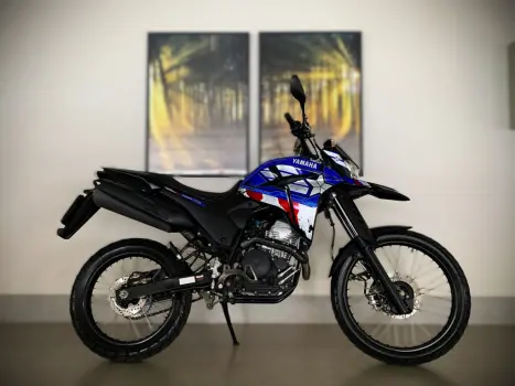 YAMAHA Lander 250 , Foto 6