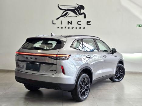 GWM Haval H6 1.5 16V 4P HEV2 PREMIUM AWD E-TRACTION AUTOM�TICO, Foto 6